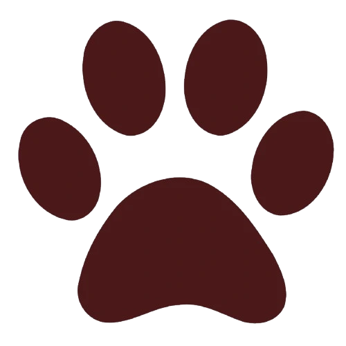 Katzenpfote